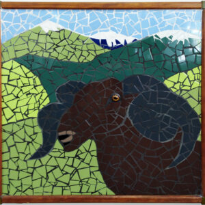 Averil Southward - Arapawa Ram