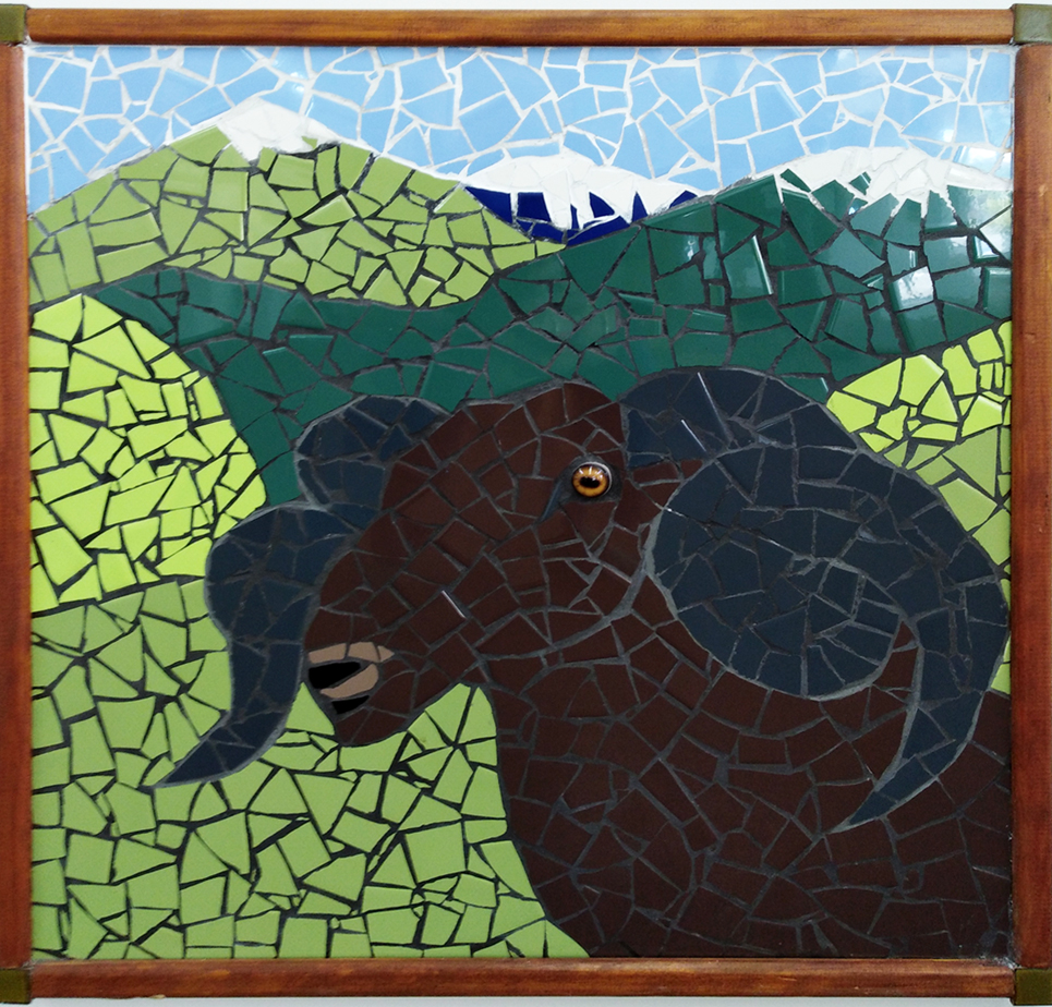 Averil Southward - Arapawa Ram