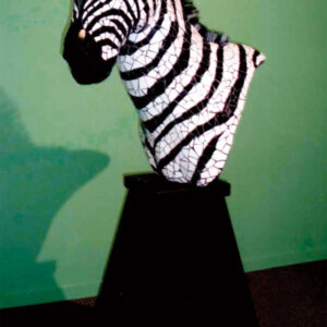 Averil Southward - Zebra Shoulder Pose in Mosaic